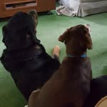 Nancy Swartz - @nancy.swartz.1238 - Instagram