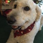 Nancy Swartzlander - @swartzlander.nancy - Instagram