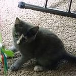 Nancy Swearengin - @swearenginnancy - Instagram