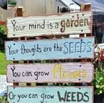 Nancy Sweetman - Facebook