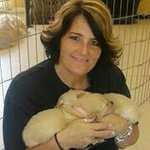Nancy Sylvain - @nancyc1229 - Instagram