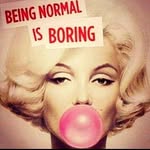 Nancy Syverson Kotlarz - @nanerpuss2 - Instagram