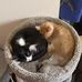 Nancy Tackett - Facebook
