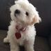 Nancy Tadlock - Facebook