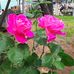Dave Nancy - Facebook