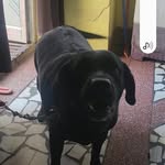 @taffenancy123 - Instagram