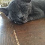 Nancy Talbott - @nancytalbott1 - Instagram
