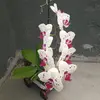 Nancy Tamayo - @.nancy_tamayo - TikTok