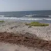 nancy tamayo - @nancy.tamayo508 - TikTok