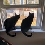 Nancy Tarr Hart - @ntarrhart - Instagram