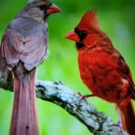 Nancy Tasker - Facebook