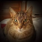 Nancy Wilson Tasker - @tasker_nancy - Instagram