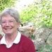 Nancy Teachout - Facebook
