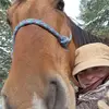 nancyteeple - @nancy.mendoza2038 - TikTok