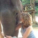 Nancy Temple - @ngsilverleaf - Instagram