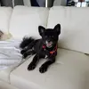 nancytemple02 - @nancytemple02 - TikTok