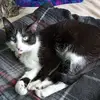 Nancy Termini - @nancy.termini - TikTok