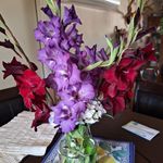 Nancy L Tester - @nancyltester - Instagram