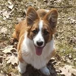 Nancy Lee Tharp - @nancytharp.tntchickenranch - Instagram