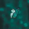 nancy tharp - @nancy.tharp - TikTok