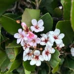 Nancy Thorne - @nancythorne1115 - Instagram