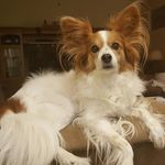 Nancy Thorpe - @thorpe3580 - Instagram