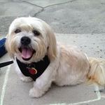 Nancy Tickle - @nancytickle - Instagram
