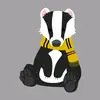 Hufflepuff5number - @nancytillson - TikTok