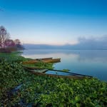 Nancy Tilson - @ntilson - Instagram