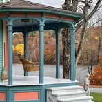 Nancy Tinkham - Facebook