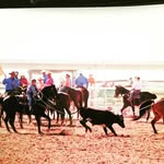 Nancy Toll - @nancy_toll - Instagram
