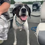 Nancy Tomlin - @tomlin2943 - Instagram