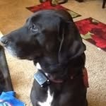 Nancy Suarez Scott - @nancytomscott - Instagram