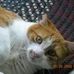 Nancy Topper - Facebook