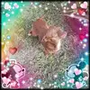 Nancy Toro245 - @nancytoro39 - TikTok