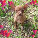 Nancy Toro - @nancytoro209 - Instagram