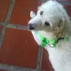 nanci tovar - @nanci.tovar8 - TikTok