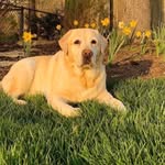 Nancy Gold - @trader_nancy_gold - Instagram