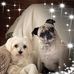 Nancy Evans Trammell - Facebook