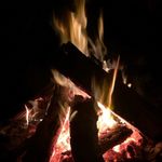 Nancy Trammell - @searchingforfirewood - Instagram