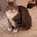 Nancy Trammell - @nancy.trammell.104 - Instagram