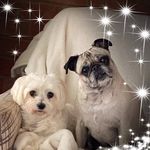 Nancy.trammell.92 - @nancy.trammell.92 - Instagram