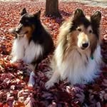 Nancy Trapp - @nancytrapp38 - Instagram