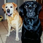 Nancy Trappers - @nancytrappers - Instagram