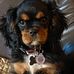 Nancy Traver - Facebook