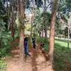 Nancy Triana - @nancy.triana42 - TikTok