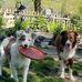 Nanci Trimble - Facebook