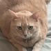 Nancy Trimble - Facebook