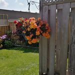 Nancy Trimble - @nancytrimble_ - Instagram