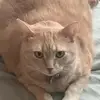 Nancy Trimble - @nancy.trimble - TikTok